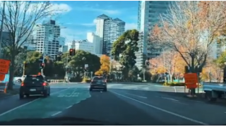 Auckland Streets in Autumn